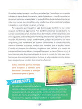 Cargar imagen en el visor de la galería, Indescriptible

