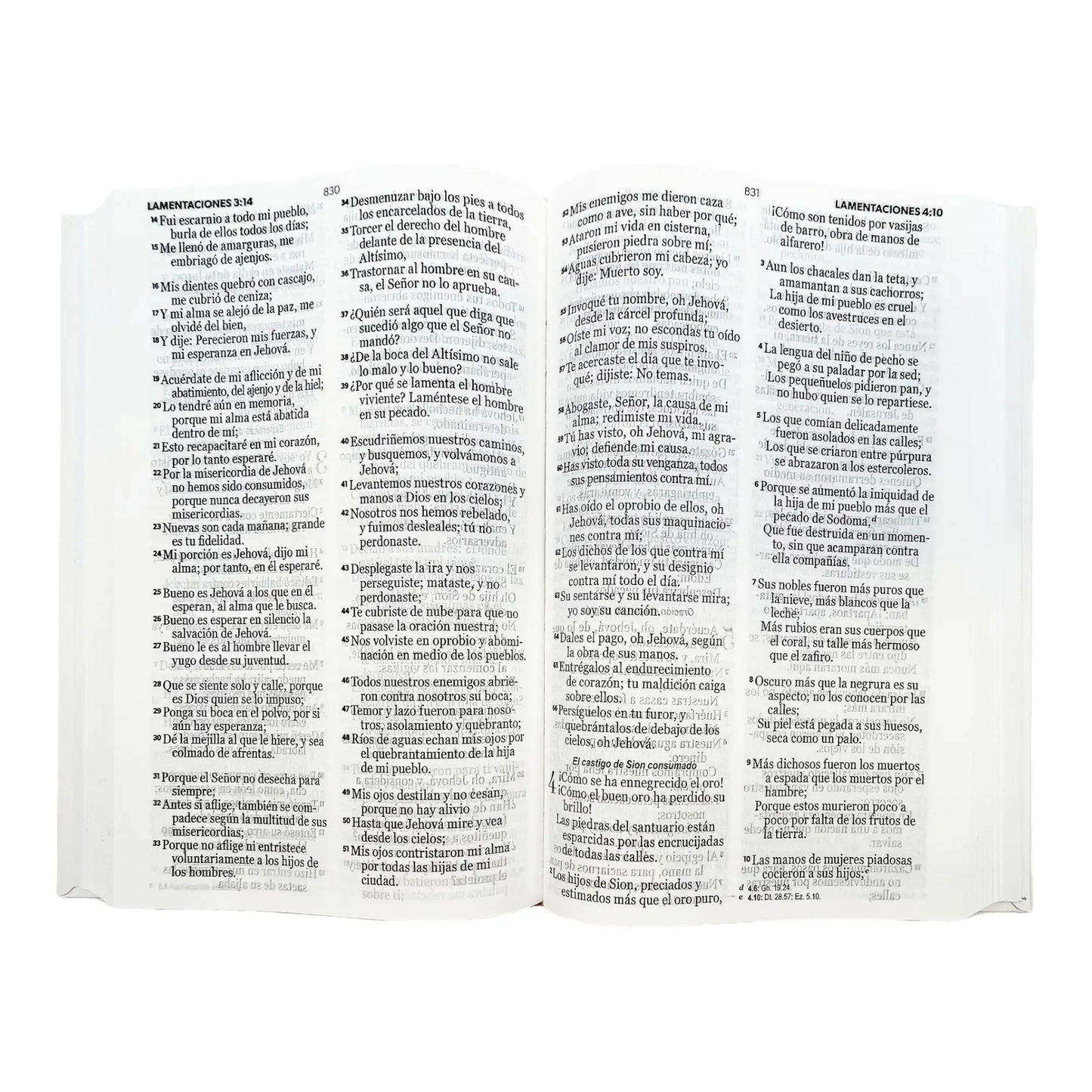 Biblia RVR60 tamaño manual - Espada