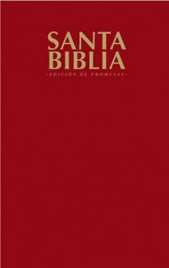 Biblia de Promesas RVR Económica Vino