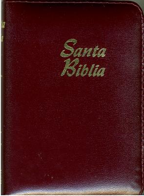 Biblia Acolchada Vinotinto RVR60