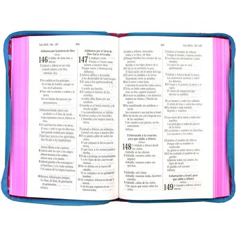 Biblia RVR60 Fucsia con corazones y cierre