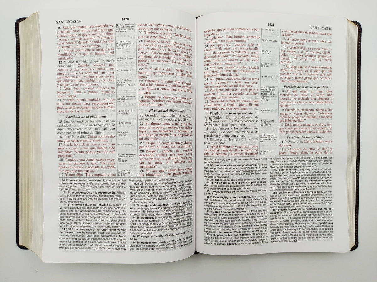 La Biblia de las Américas (LBLA) - Biblia de estudio Imitación Piel