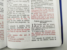 Cargar imagen en el visor de la galería, La Biblia de las Américas Imitación Piel
