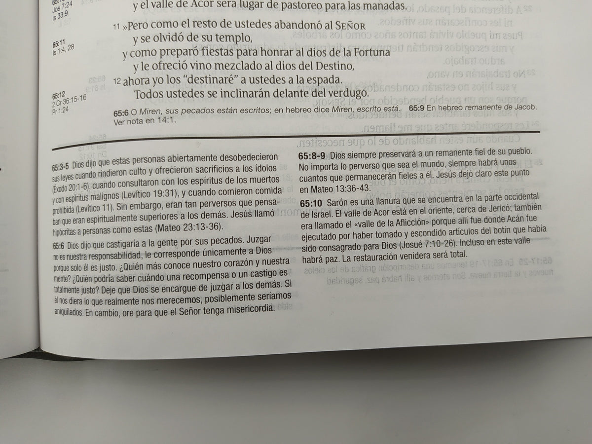 Biblia de estudio Diario vivir NTV Sentipiel Gris-Verde