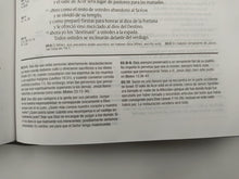 Cargar imagen en el visor de la galería, Biblia de estudio Diario vivir NTV Sentipiel Gris-Verde
