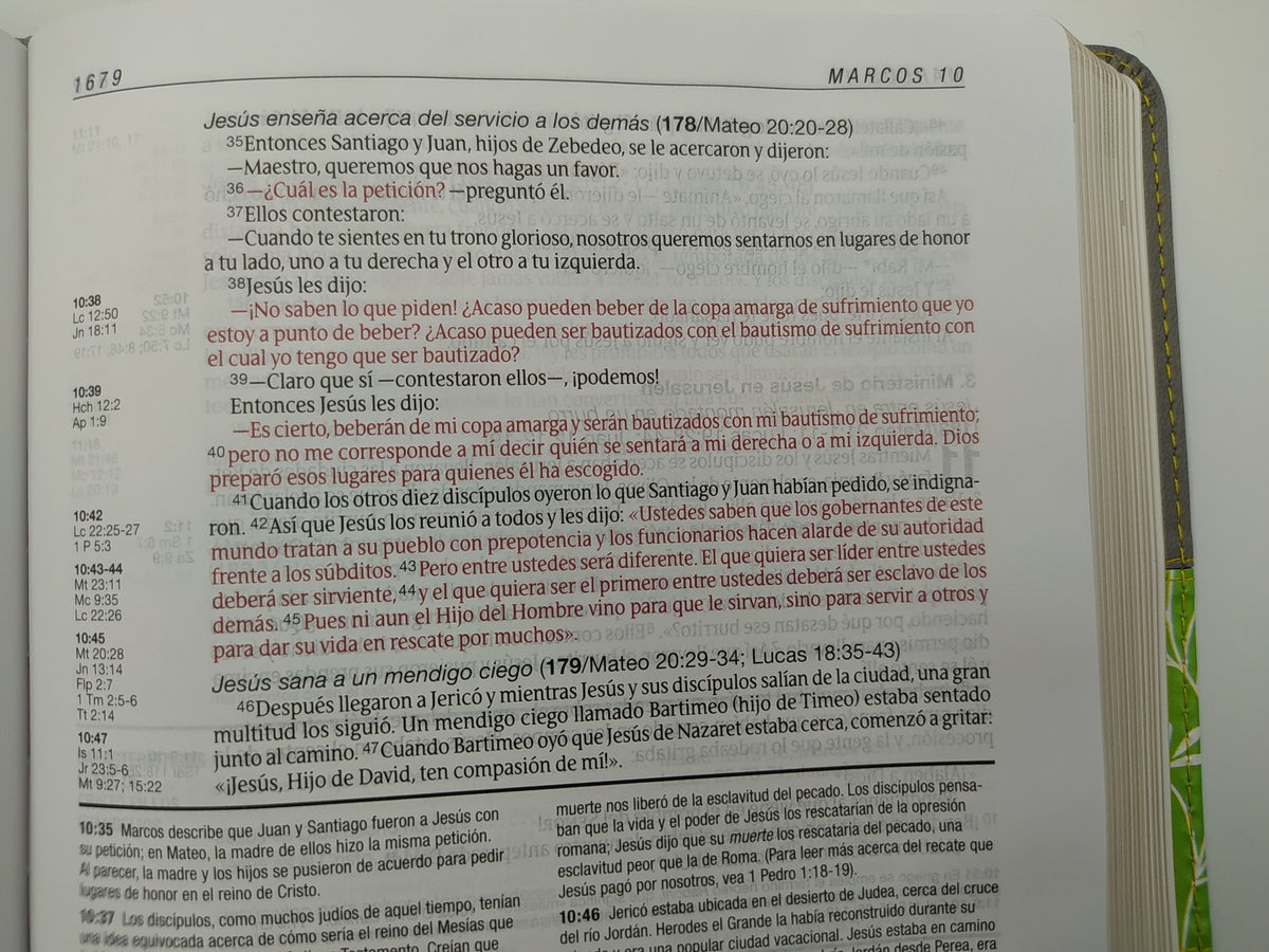 Biblia de estudio Diario vivir NTV Sentipiel Gris-Verde