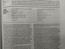 Cargar imagen en el visor de la galería, Biblia de estudio Diario vivir NTV Sentipiel Gris-Verde
