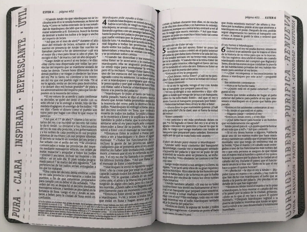 Santa Biblia NTV Compacta Salmo 119:105