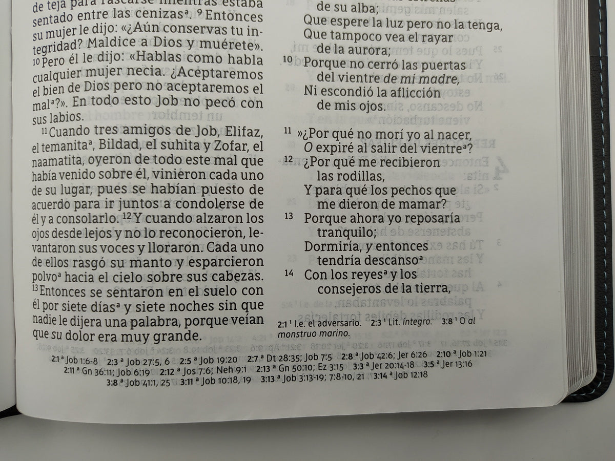 Biblia Ultrafina Letra Gigante Negra NBLA