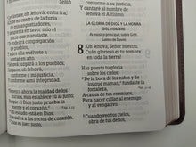 Cargar imagen en el visor de la galería, Biblia RVR60 Letra Gigante Marrón
