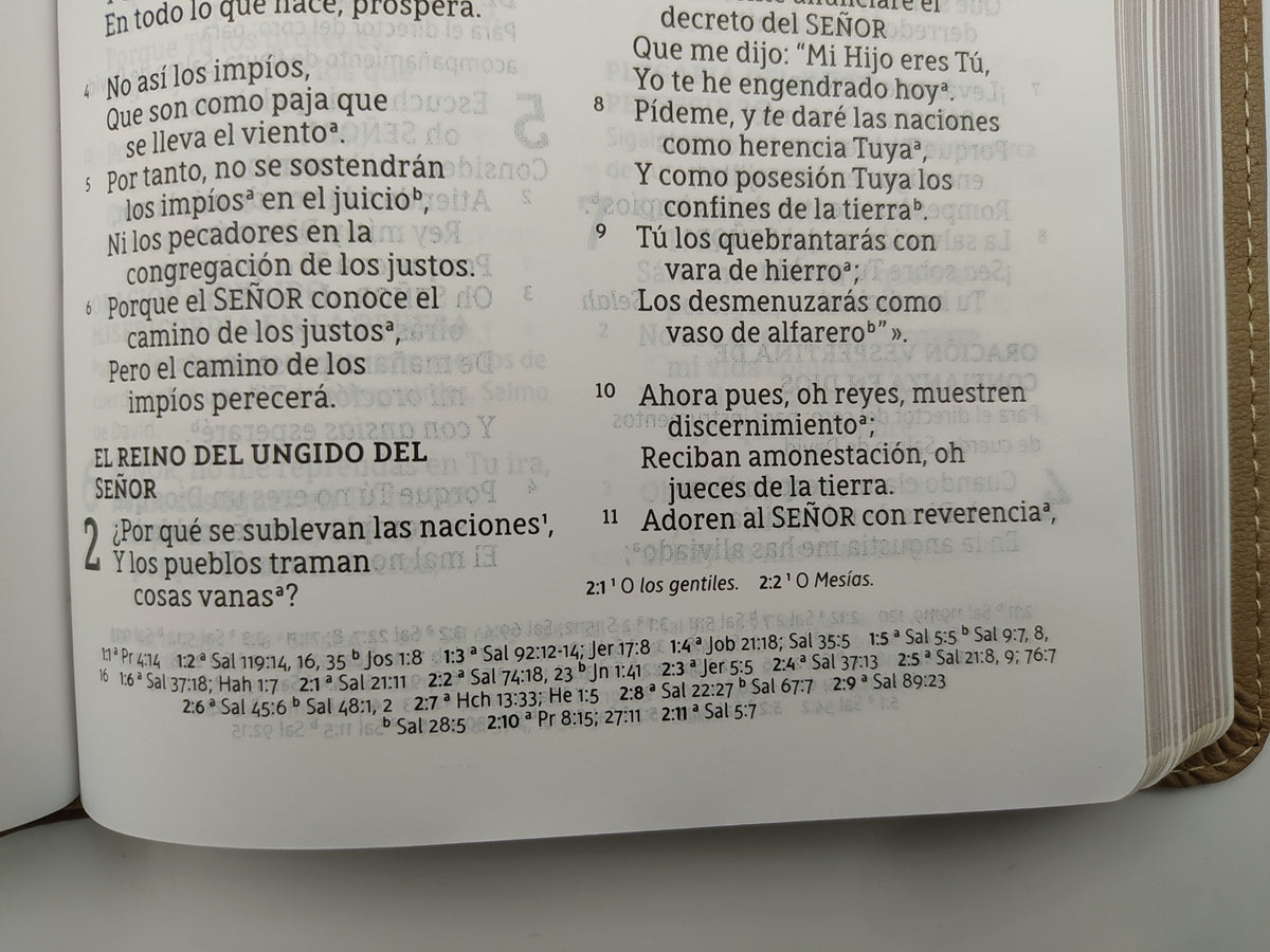 Biblia Ultrafina Letra Grande Beige NBLA