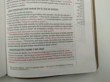 Load image into Gallery viewer, Biblia una columna con referencias NBLA
