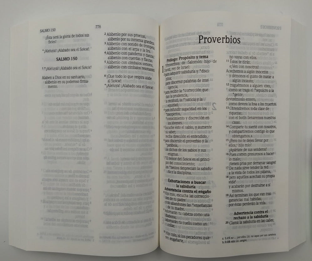 Biblia NVI Tamaño Manual Letra Grande Tapa Rústica Acuarela