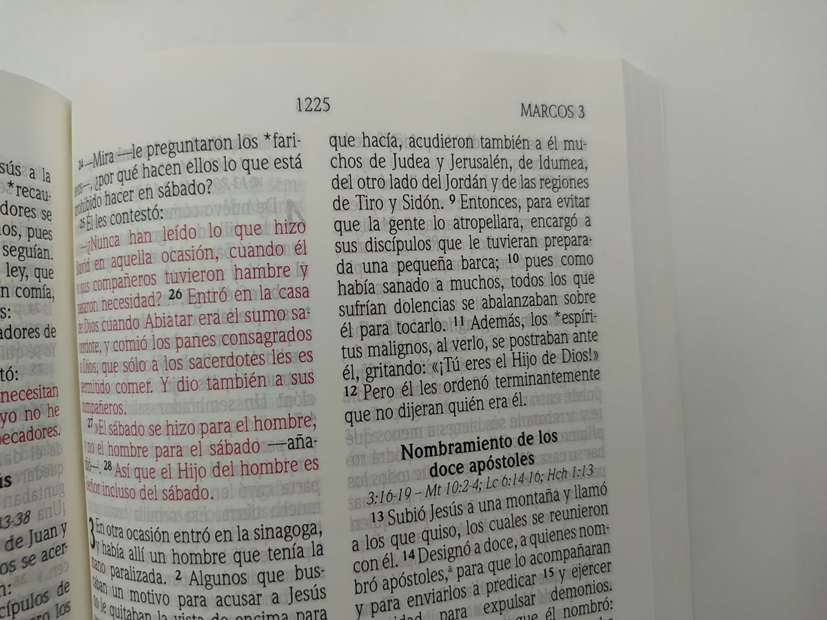 Biblia NVI Tamaño Manual Letra Grande Tapa Rústica Acuarela