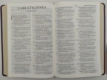Cargar imagen en el visor de la galería, La Biblia de Promesas Letra Grande Piel especial Café
