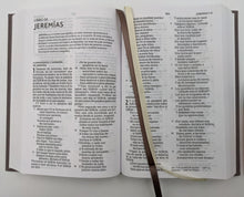 Load image into Gallery viewer, Biblia Tamaño Compacto Tapa Dura Tela Gris NBLA
