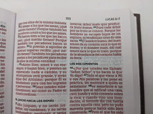 Load image into Gallery viewer, Biblia Tamaño Compacto Tapa Dura Tela Gris NBLA
