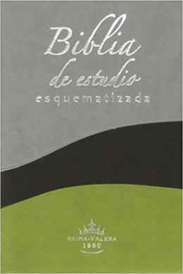 Biblia de estudio esquematizada