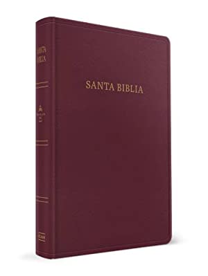 Biblia RVR60 Letra Grande Tamaño Manual Imitación Piel Rojizo