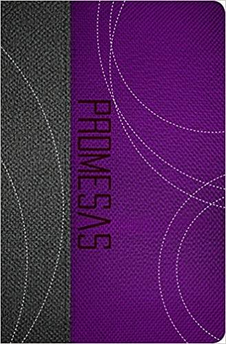 Biblia de Promesas RVR Edición Jóvenes Morado Gris