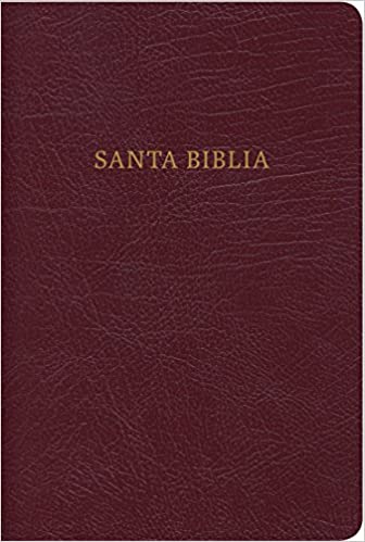 RVR 1960 Biblia Compacta Letra Grande con Referencias, borgoña piel fabricada con cierre