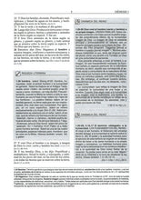 Load image into Gallery viewer, Biblia de Estudio Plenitud RV60 Piel Terracota
