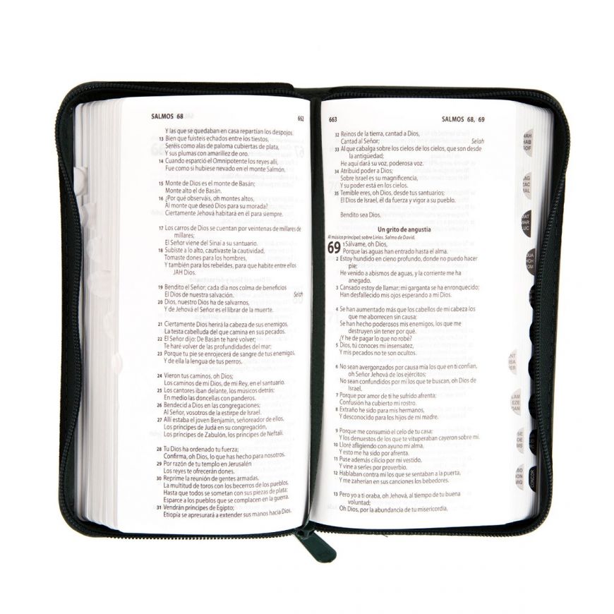 Biblia tipo Chequera verde RVR60