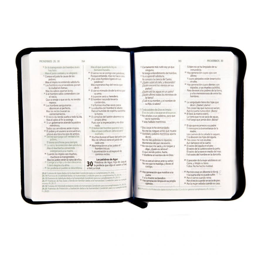 Biblia de Promesas Compacta