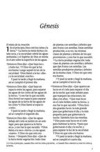 Load image into Gallery viewer, Biblia NTV Letra Grande Tapa Dura Negra

