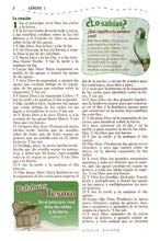 Cargar imagen en el visor de la galería, Biblia Descubrimiento RVR60
