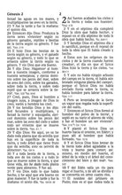 Cargar imagen en el visor de la galería, La Biblia de las Américas Imitación Piel
