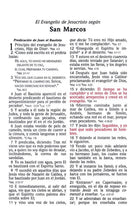 Cargar imagen en el visor de la galería, La Biblia de las Américas Imitación Piel
