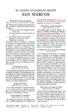 Cargar imagen en el visor de la galería, La Biblia del Ministro RVR60

