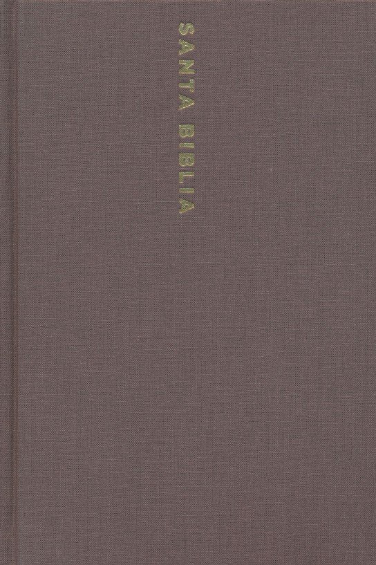 Biblia Ultrafina Letra Grande Gris Tapa Dura NBLA