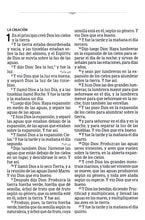 Load image into Gallery viewer, Biblia RVR60 Letra Súper Gigante Negra
