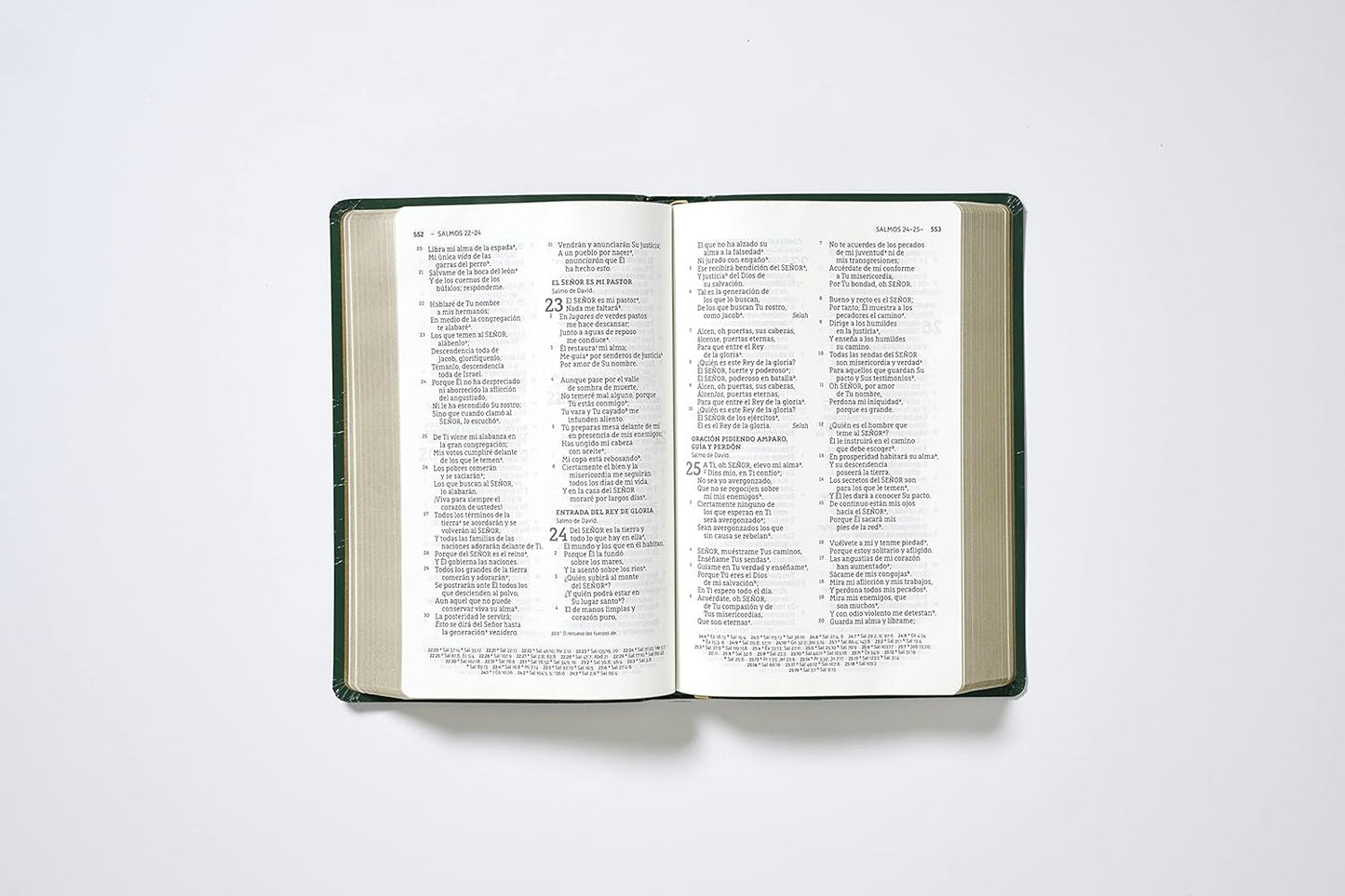 Biblia Historia de Redención NBLA (Tapa rústica)