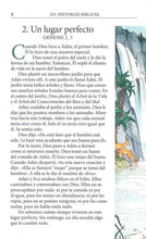 Cargar imagen en el visor de la galería, La Biblia y sus grandes historias
