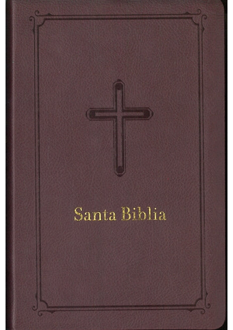 Biblia Vino | Biblias Letra Grande | Editorial Grupo Nelson 