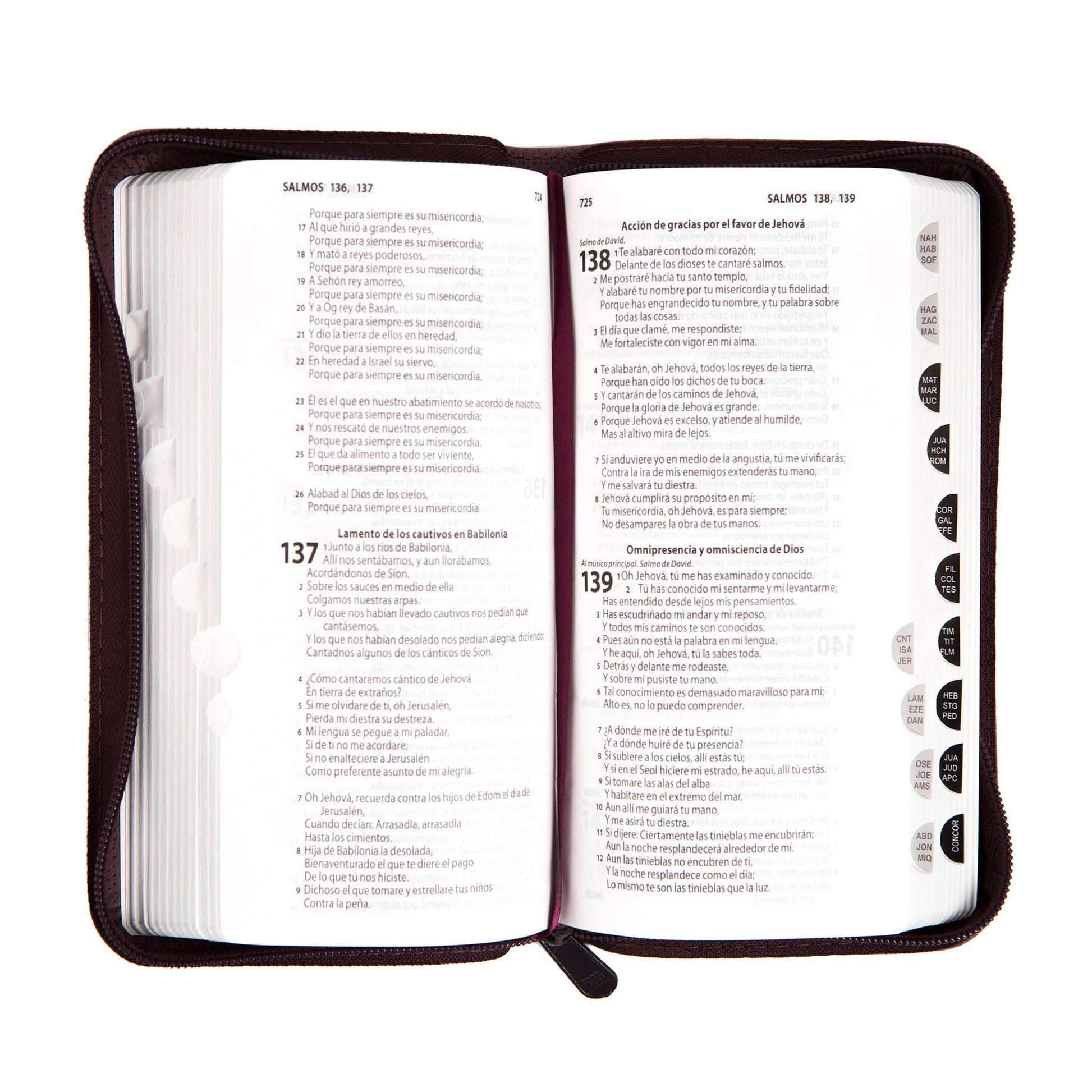 Biblia tipo Chequera Vinotinto RVR60
