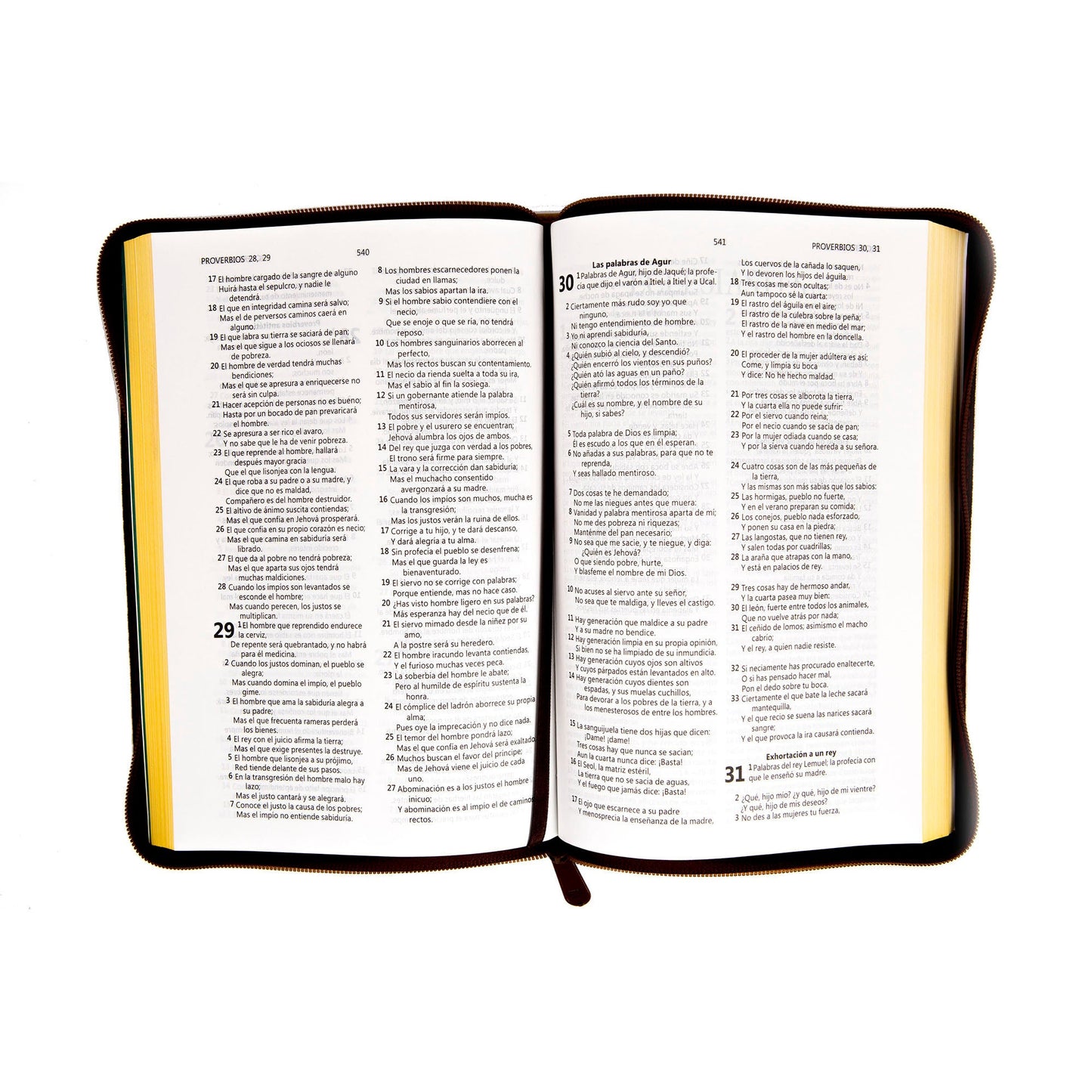 Biblia RVR60 Tipo Agenda Terracota