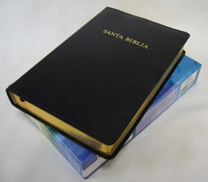Biblia de Estudio Arco Iris RV 1960 (Piel fabricada)