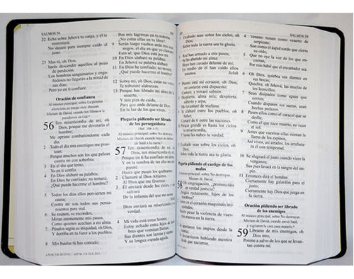 Biblia Letra Grande RVR60 Imitación Piel