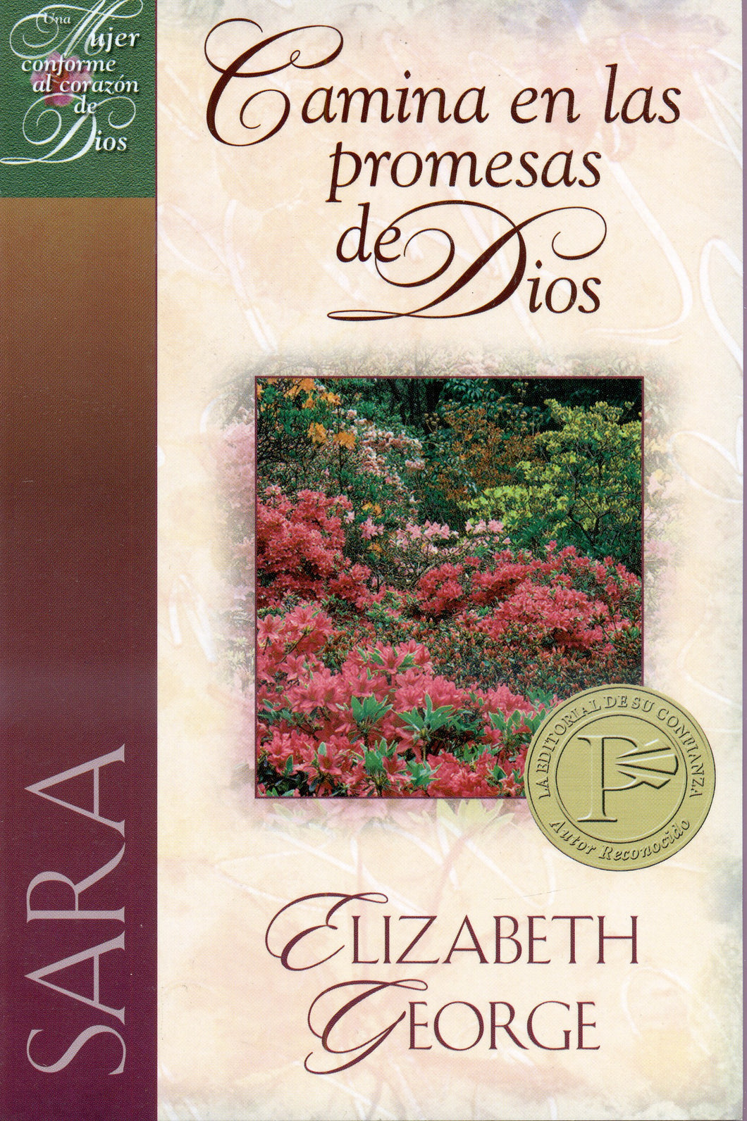 Camina en las promesas de Dios