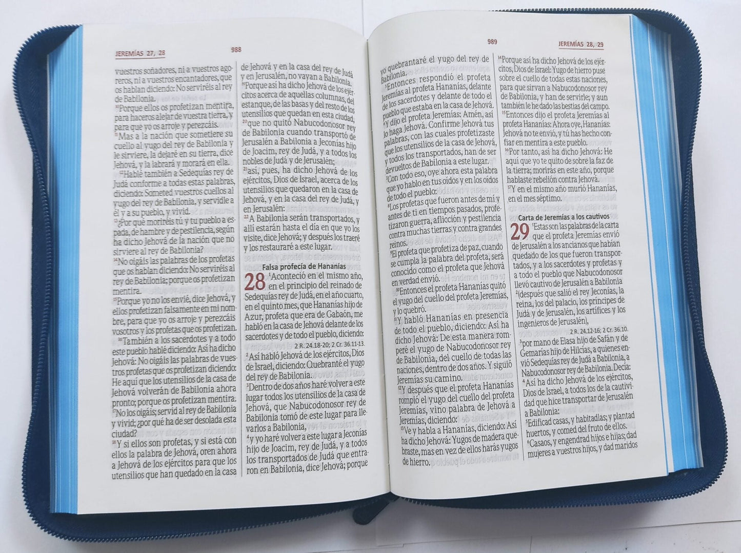Santa Biblia RV60 Letra Grande Tamaño Manual Azul