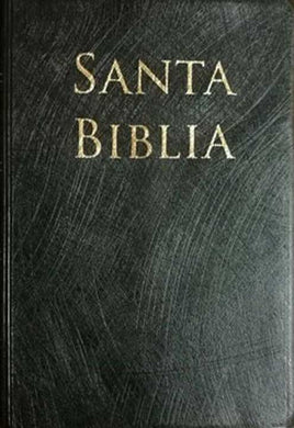 Biblia Letra Grande Tamaño Manual | Biblias en Colombia | CLC Editorial
