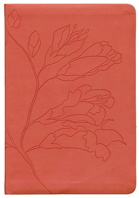 Biblia reina Valera 1960 Naranja