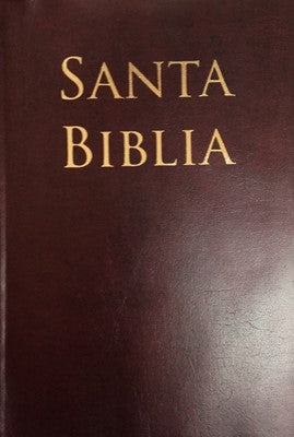 Biblia Letra Grande Tamaño Manual Café | Biblias en Colombia | CLC Editorial
