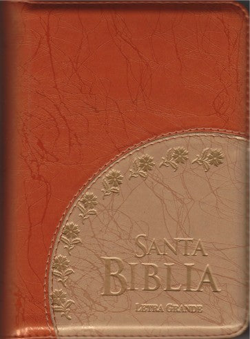 Biblia RV60 naranja cierre | Biblias en Colombia | Sociedades Bíblicas