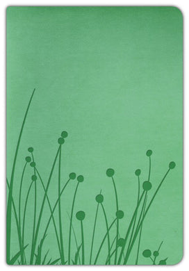 Biblia reina Valera 1960 pradera verde | Biblias en Colombia | B&H Español