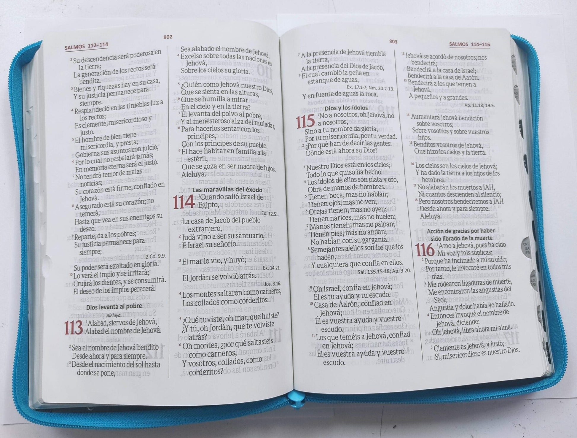 Biblia RVR60 Letra gigante Bicolor aguamarina y gris
